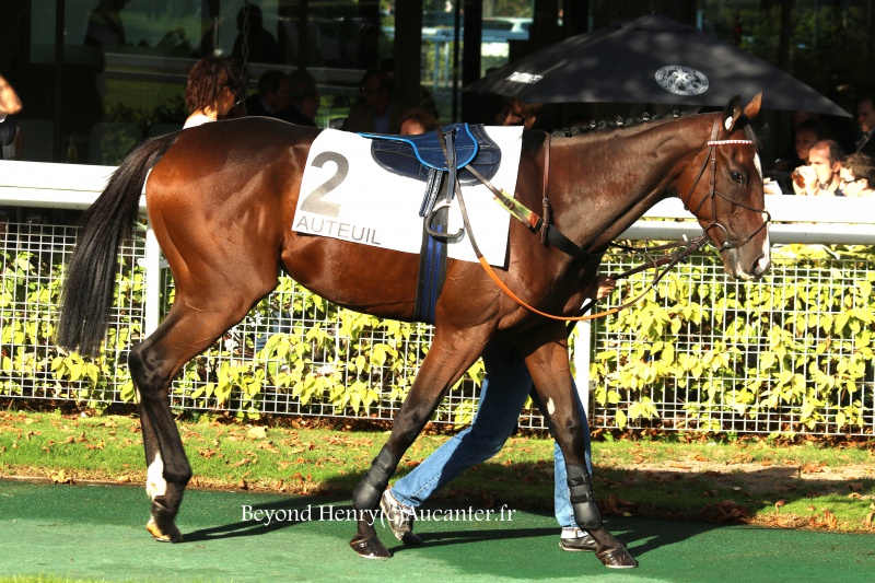 Photos Auteuil 24-09-2016 6911205J6A7312