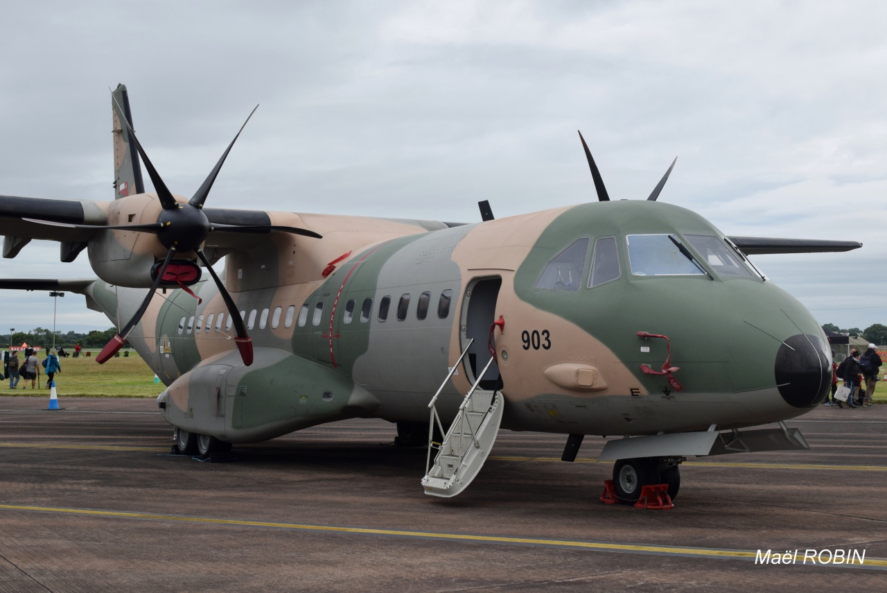 Royal International Air Tatoo #RIAT2016   691714DSC0404JPG