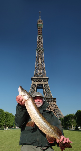 Peche des carna en ce moment - Page 23 694055TourEiffel