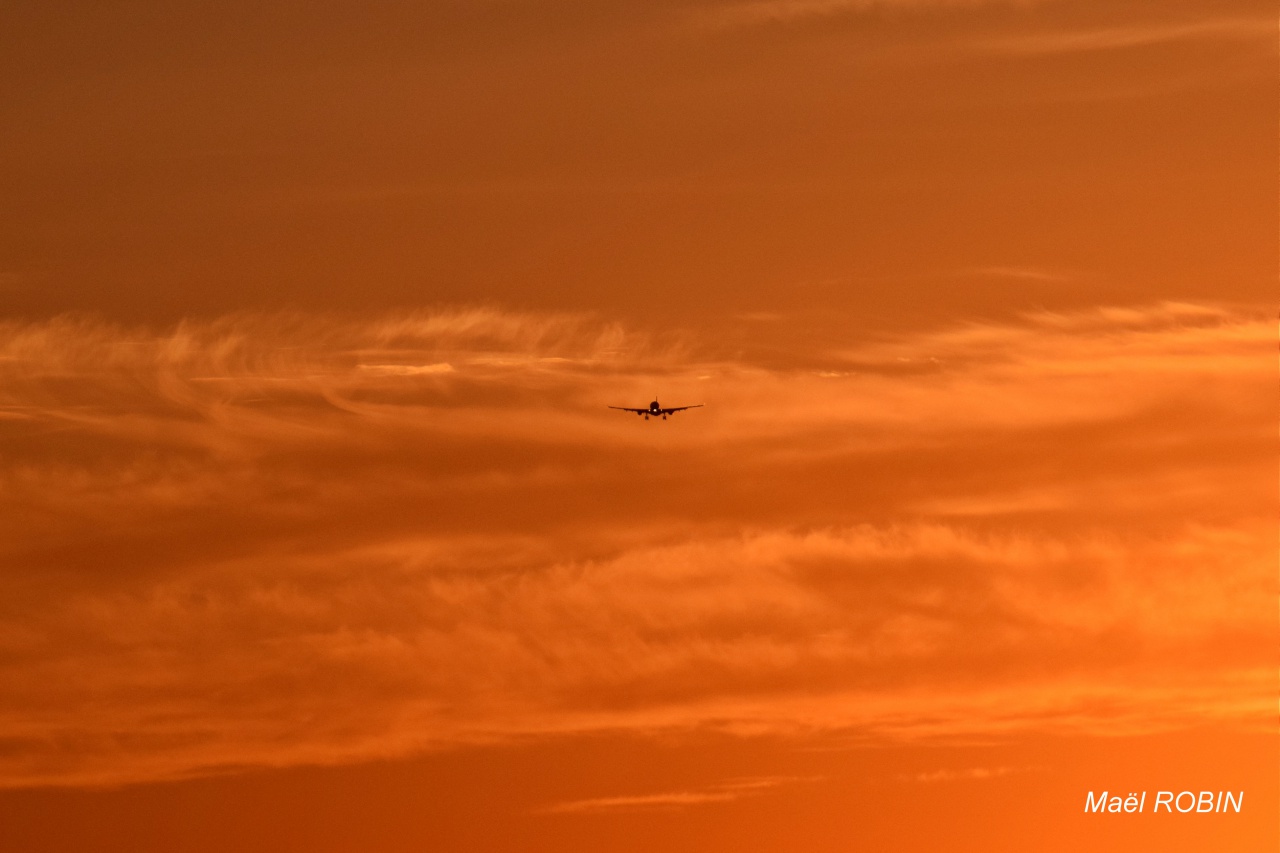 Paris Orly [ORY-LFPO] : Août 2016   705671DSC0001