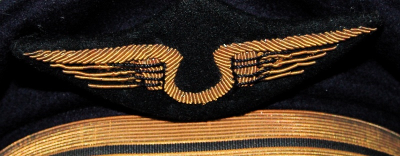 Insigne de casquette armée de l'air 710671DSC04