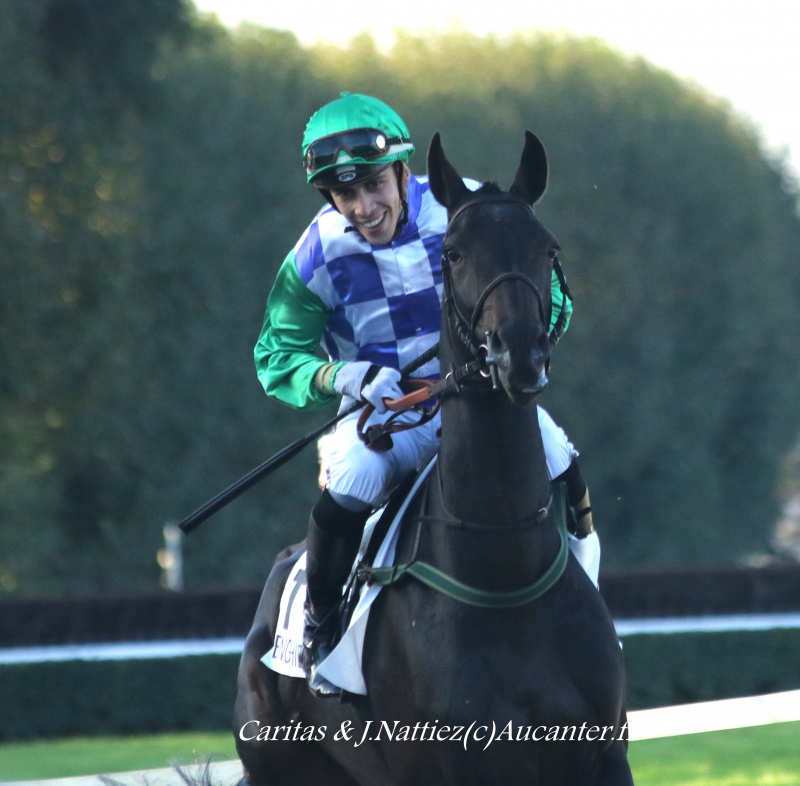 Photos Enghien 22-10-2016 Grand Steeple - Page 2 7107935J6A9812