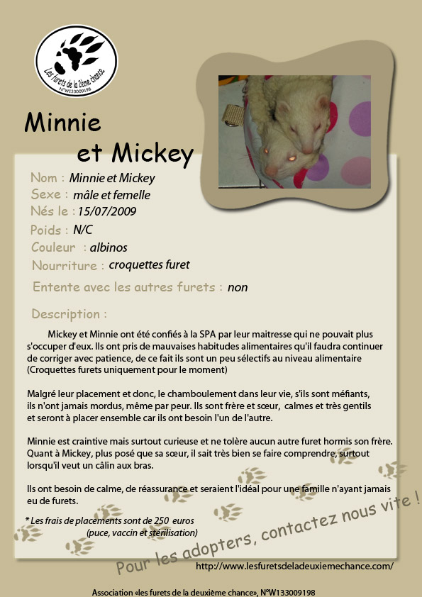 Mickey et Minnie 715962MinnieetMickey