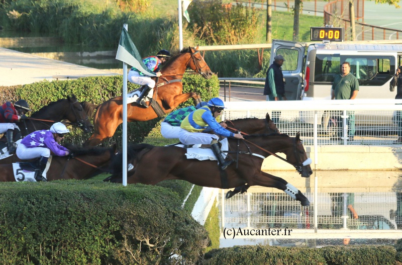 Photos Auteuil 9-10-2016 7191965J6A8197