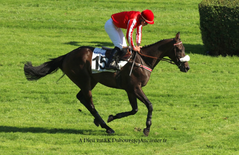 Photos Auteuil 24-09-2016 7234045J6A7116