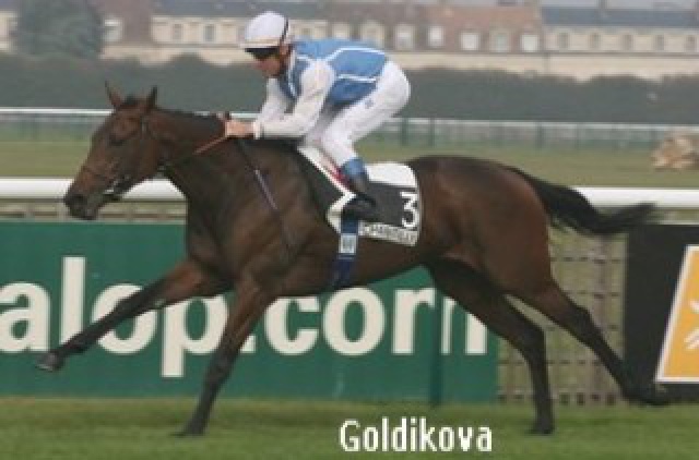 Novathir 723718GOLDIKOVA