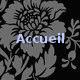 Accueil