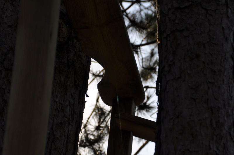 Projet de toboggant pour la cabane dans les arbres de mon fils, vos idées? - Page 3 733999Cabane21