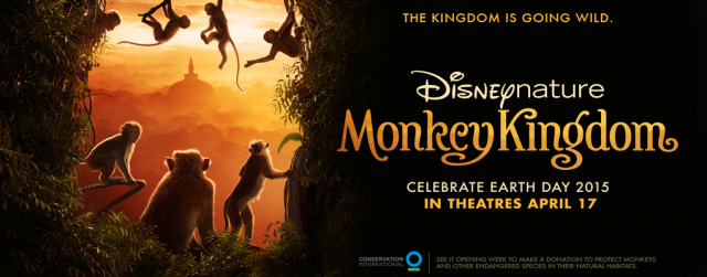 Au Royaume des Singes [Disneynature - 2015] 737516mk1