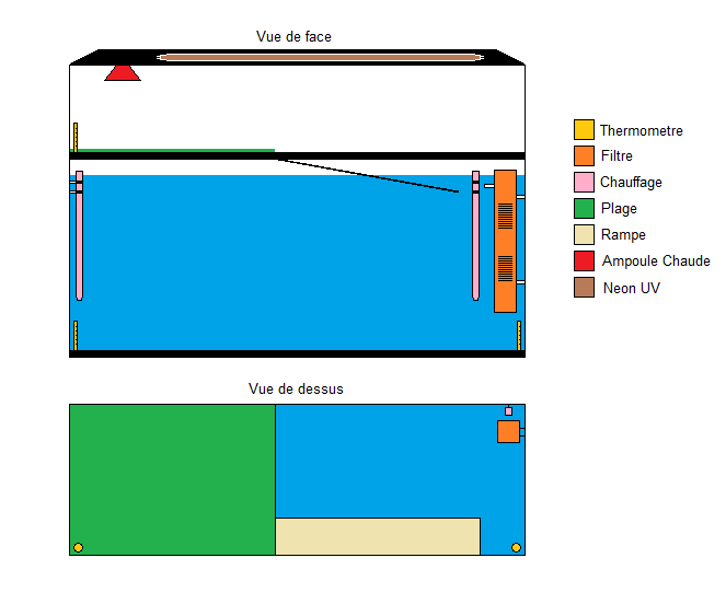 Nouveau projet 738011Projettortue2