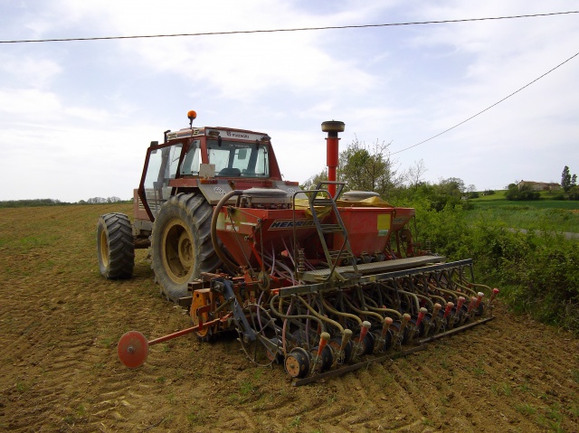 photo travail d automne pour semis de tournesol 739328Photosimportes00447