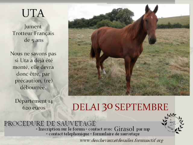 (dept 14) Uta trotteuse 5 ans (délai 30/09) 742277UTA