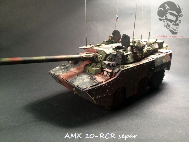AMX 10 RCR SEPAR maquette Tiger Model 1/35 - Page 3 745142IMG3842