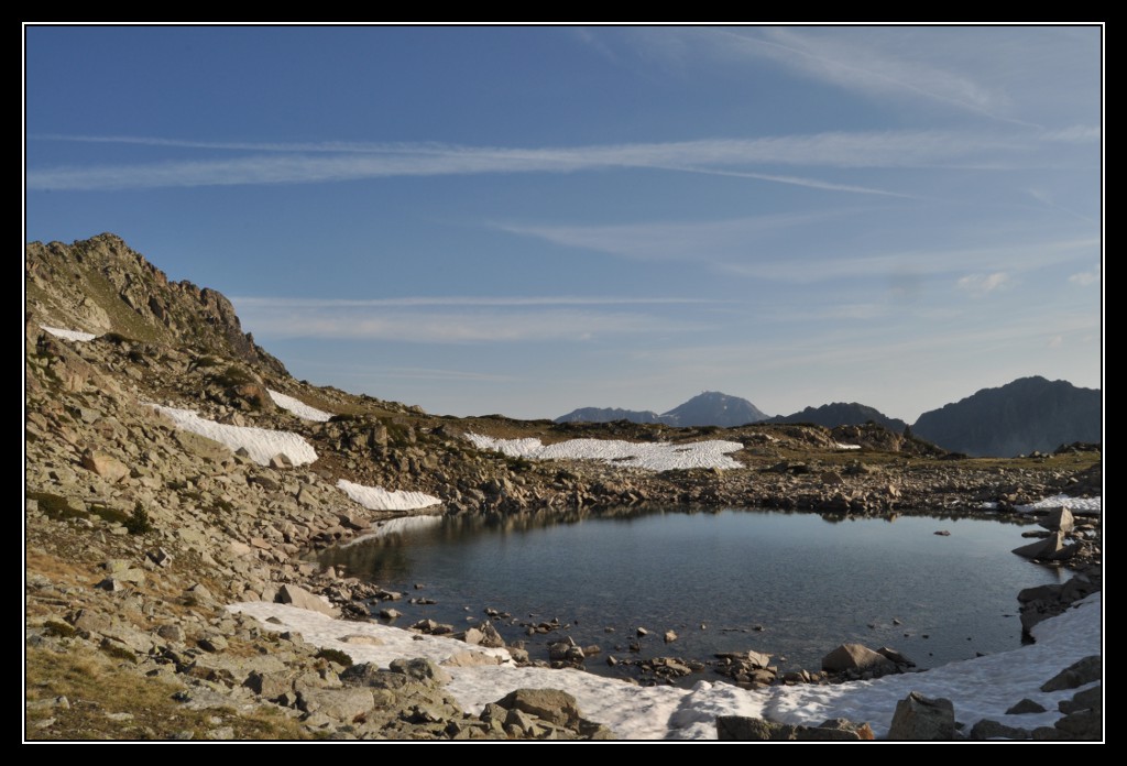 Une vie pyrénéenne de labrit des pyrénées - Page 6 745533mad0244