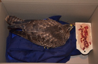 Trouvé : buse variable (je crois) 748480DSC1411