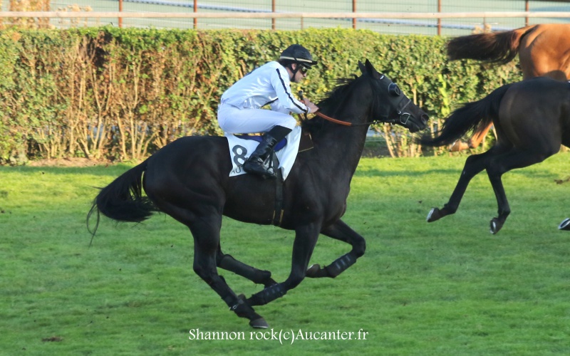 Photos Auteuil 9-10-2016 7506055J6A8211