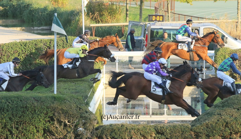 Photos Auteuil 9-10-2016 7575895J6A8201