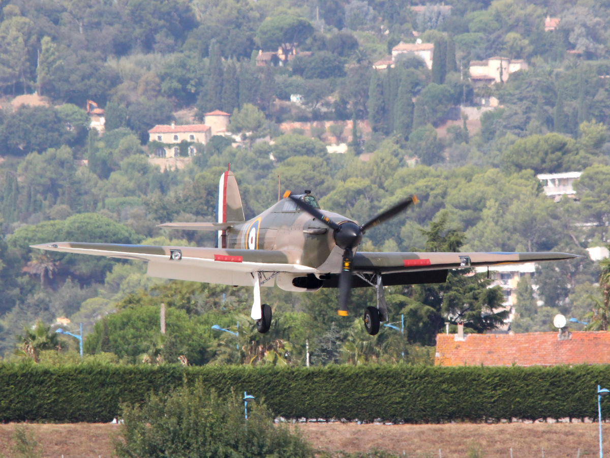 Warbirds à LFMD 761156IMG7603