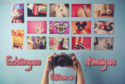 ✎ • Échanges d'images • ✎ #1 [ UN POST = UNE DEMANDE ET/OU DES IMAGES ! ]  762325Capturedcran20110219162803