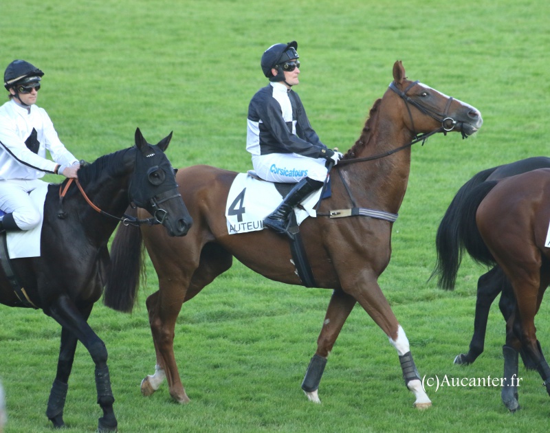 Photos Auteuil 9-10-2016 7662195J6A8183