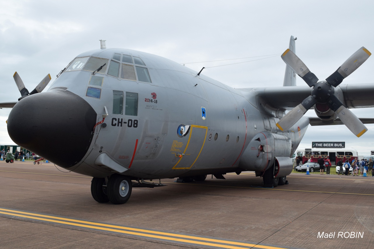 Royal International Air Tatoo #RIAT2016   - Page 2 767120DSC0472