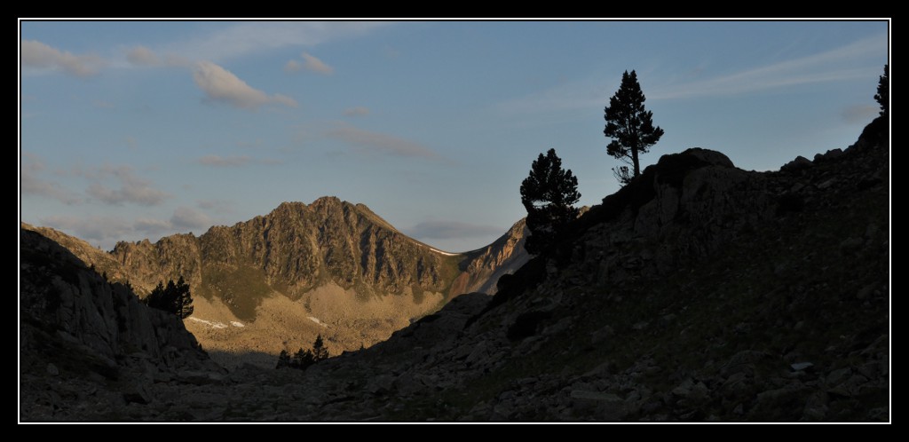 Une vie pyrénéenne de labrit des pyrénées - Page 6 778981mad0224