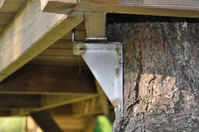 Projet de toboggant pour la cabane dans les arbres de mon fils, vos idées? - Page 3 781216Cabane25