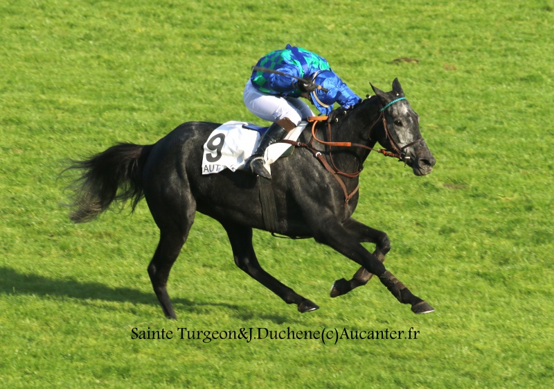 Photos Auteuil 9-10-2016 7840165J6A8043