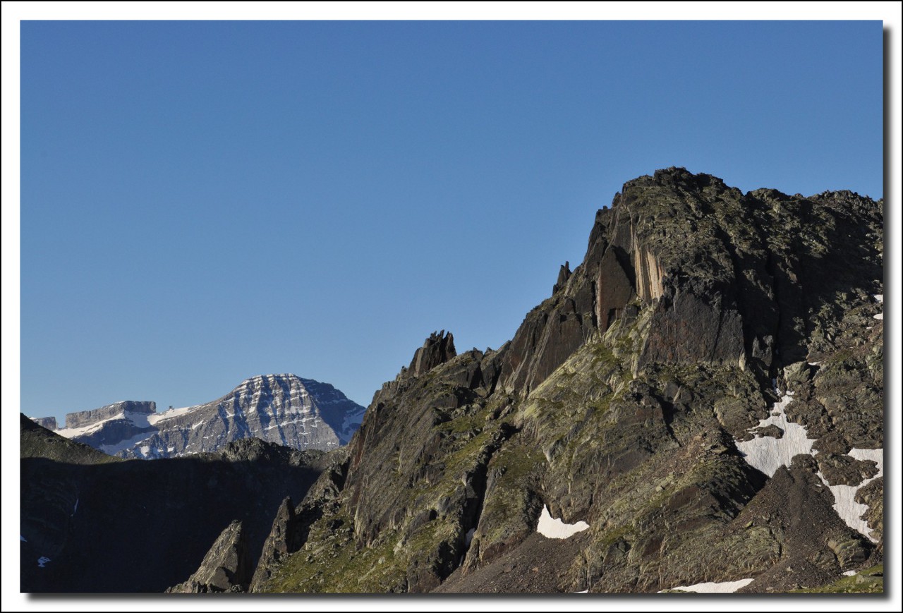 Une vie pyrénéenne de labrit des pyrénées - Page 6 785129her0133