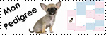 Forum Chihuahua : Mini Dog's Chihuahua 786206genealogie