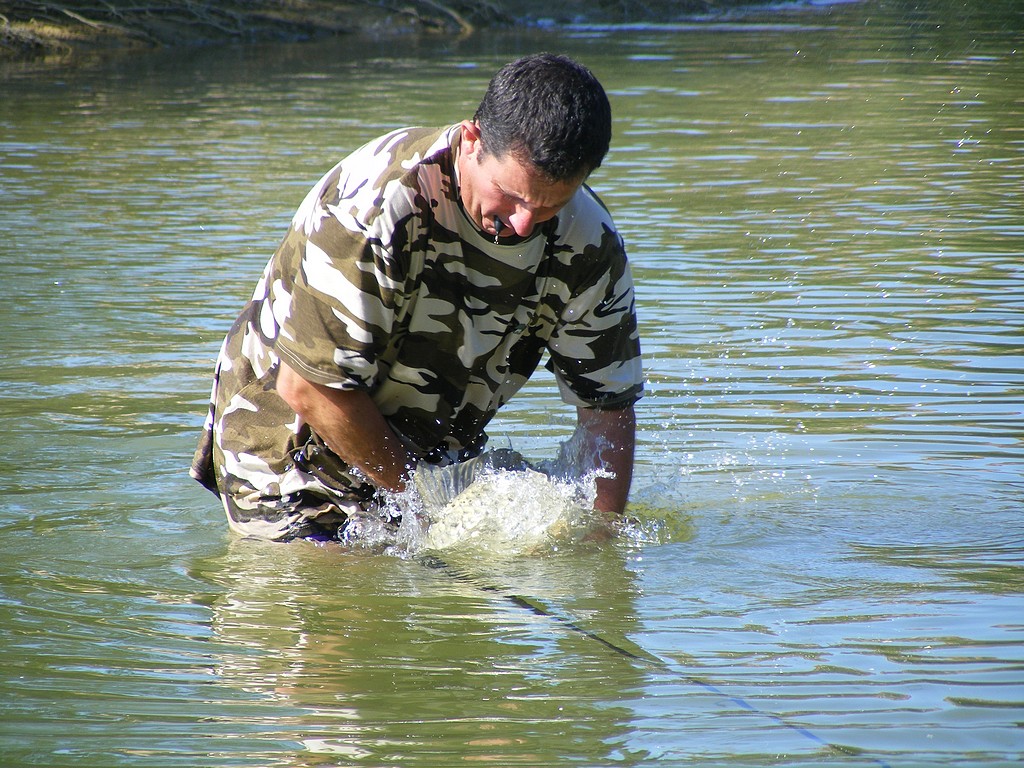 Le lauraguais ça à du bon ! 7890478224