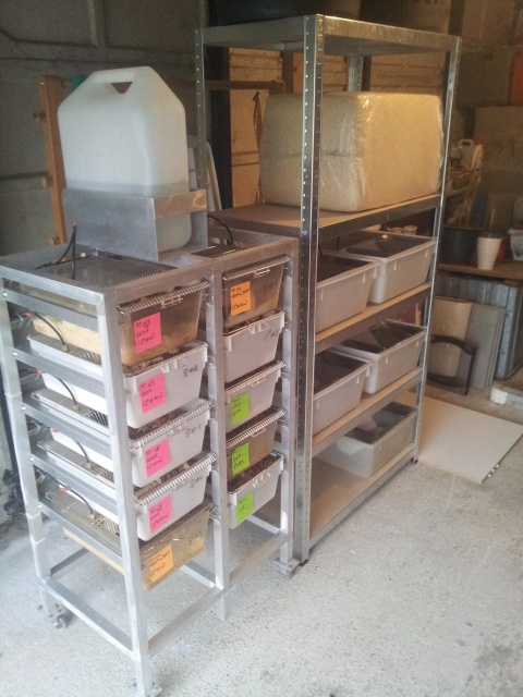 Extension racks rongeurs . 790666028