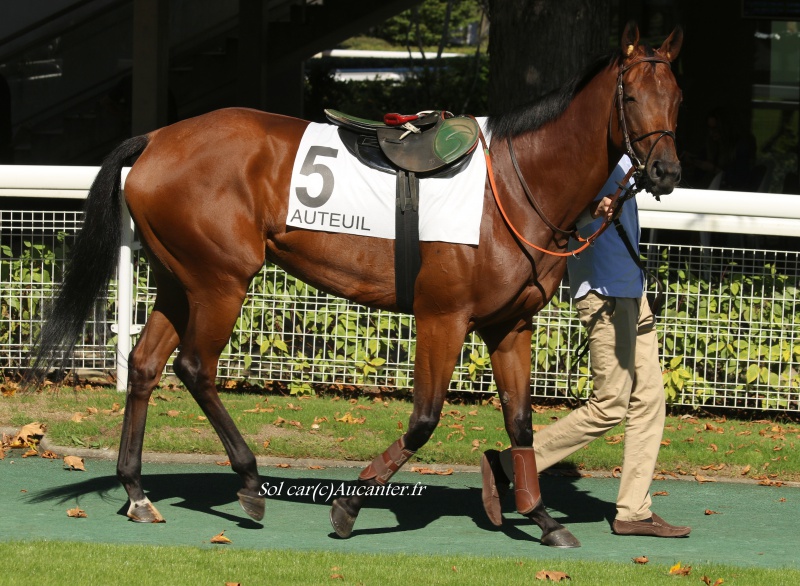 Photos Auteuil 24-09-2016 7951785J6A6929