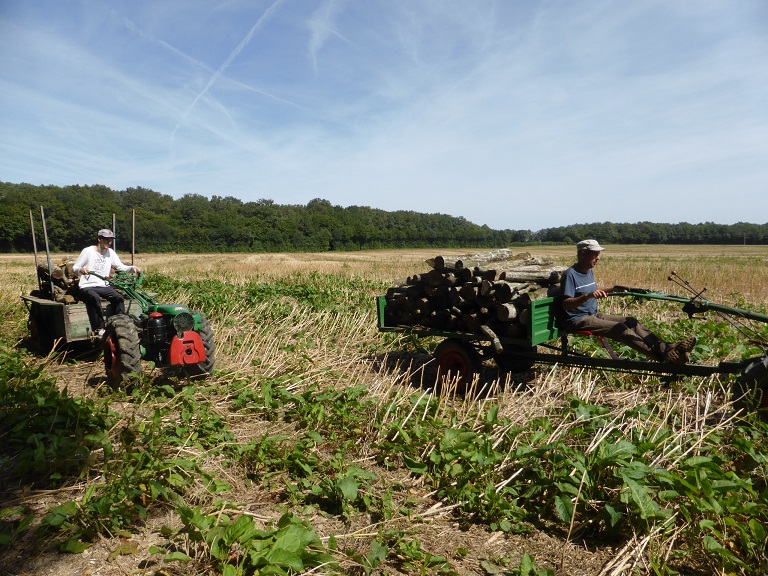 Que transportez-vous avec vos machines? 795953bois6