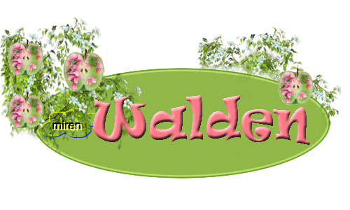 Nombres con W 7960092walden