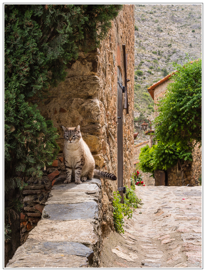 PBVF 54: Castelnou 798439LR53P1170829