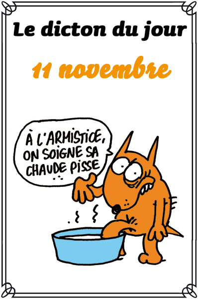 dicton du jour et dicton humour de colette - Page 2 798726dicton1111420e4a9