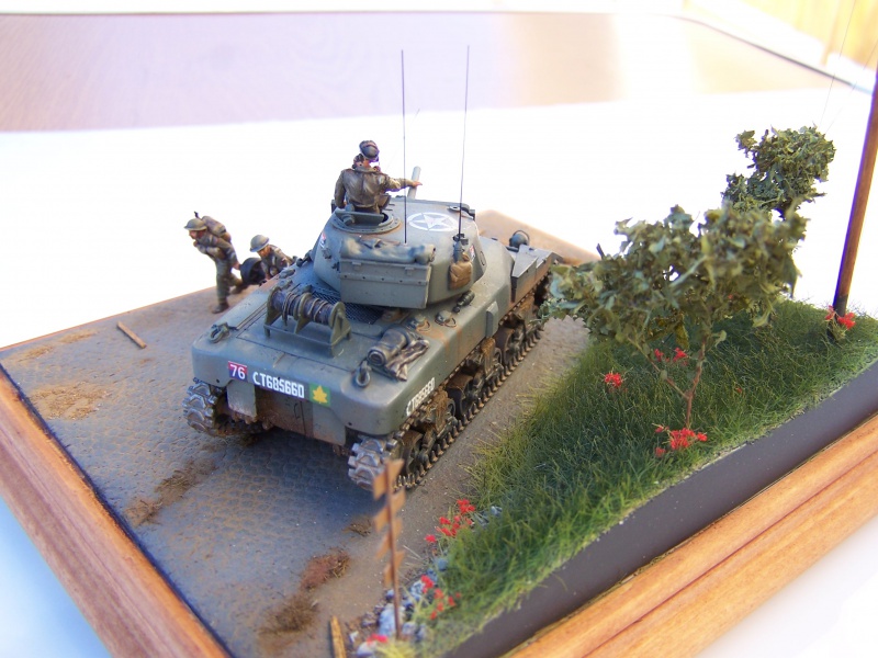 1/72 Scratch Aout 44 "operation Totalize" Char canadien RAM "op"  7999821008672