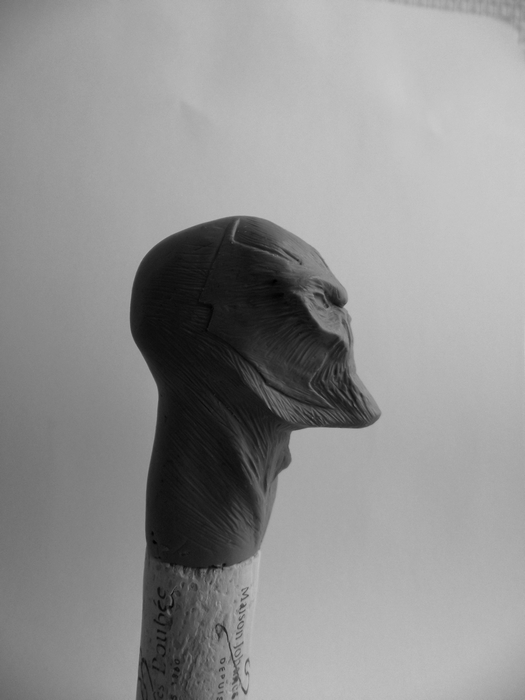 F_seb custom (sculpt/ paint) - Headsculpts 1/6 scale - Page 2 806239DSCF2103