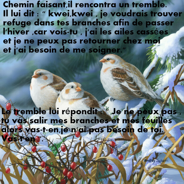 Le Cromimi-Nut n° 42 807668bloggif5a00c28f34b81