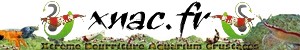 Logo-xnac