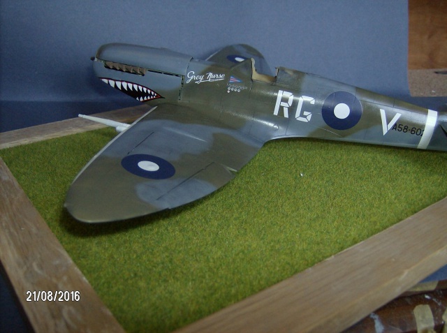 spitfire MK VIII "grey nurse" squadron 457 ,guerre du  pacifique 809010002