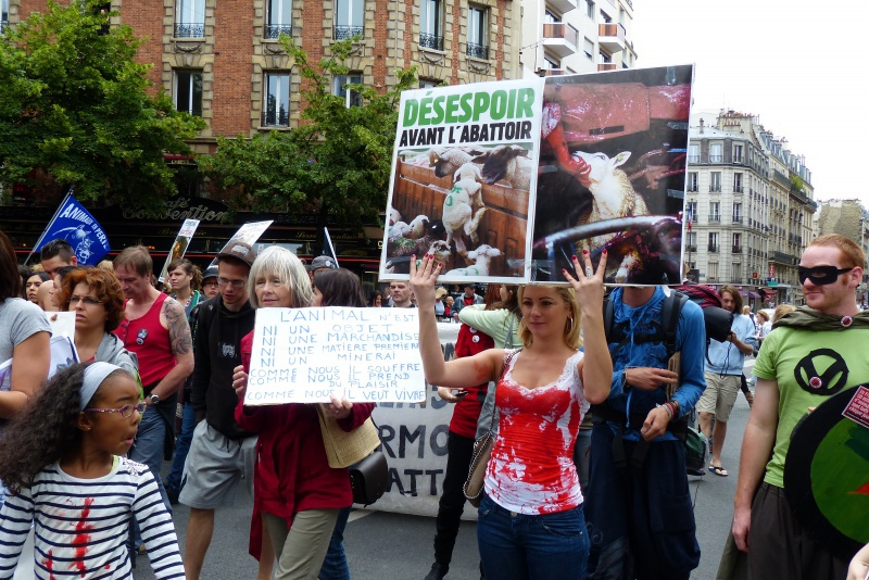 15 - Marche pour la fermeture des abattoirs - Paris - 15 juin 2013  811885P1040117