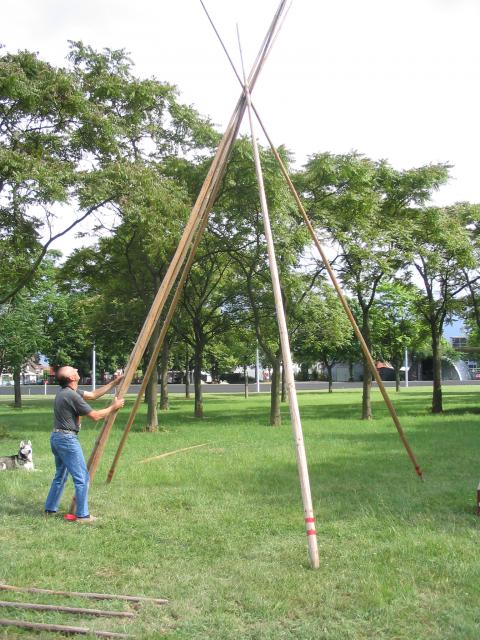 Montage d'un tepee ( tipi ). 81547901