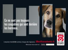 Tous ensembles contre les abandons. 816617tlchargement