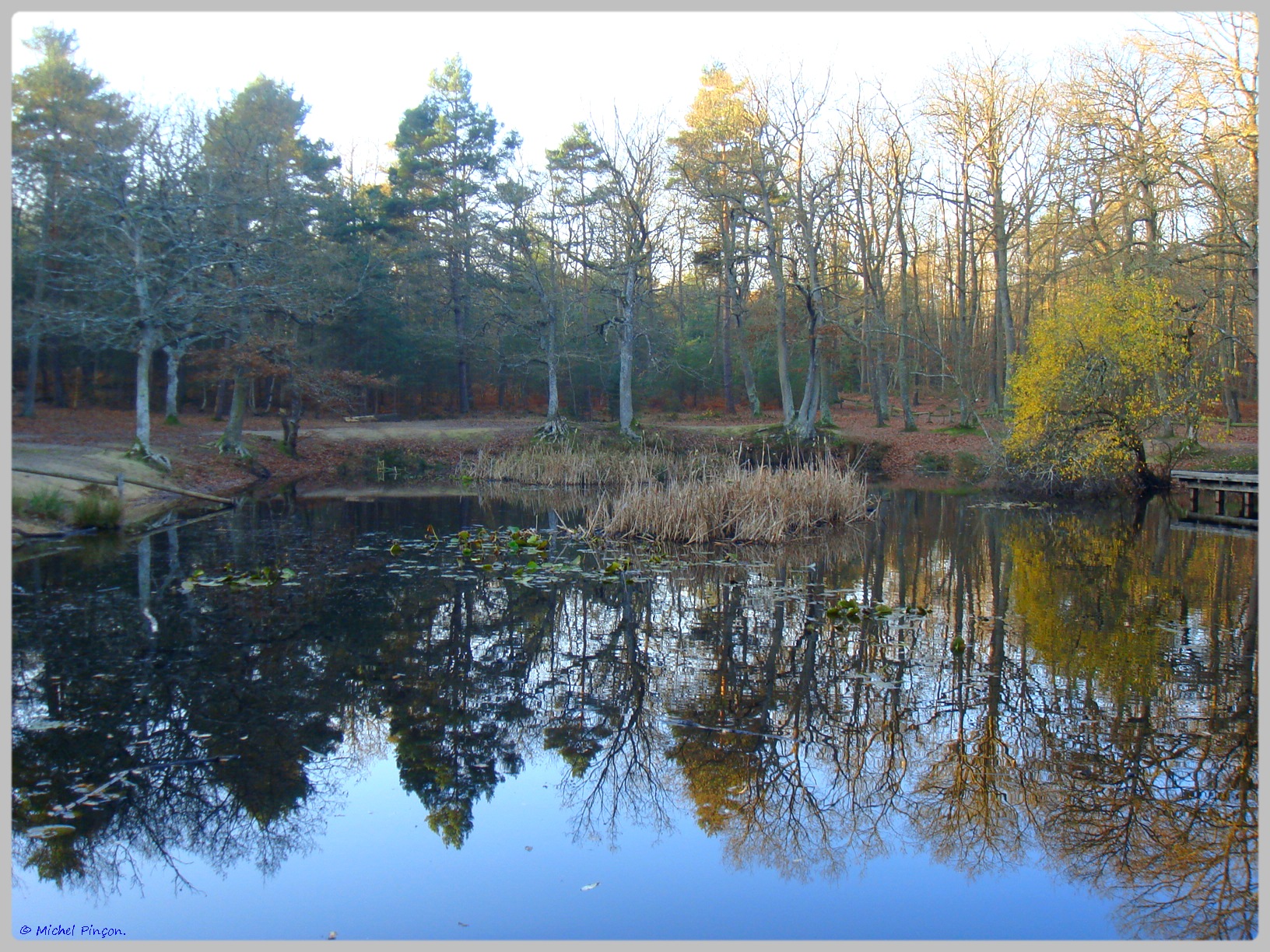  [ ouvert à tous ] Effet miroir 817207DSC011618