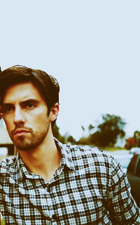 ▬ Milo Ventimiglia 818334MiloVentimiglia06