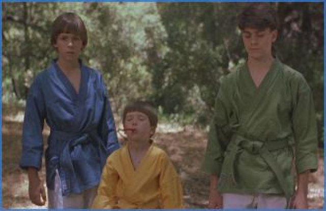 Les 3 Ninjas contre-attaquent: 818954000a