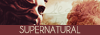 oo-Supernatural-oo No Rest for the Wicked - Page 3 821899logo3