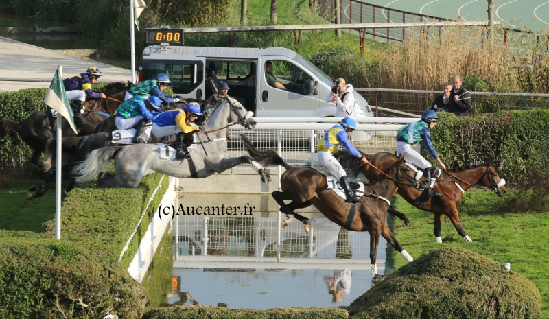 Photos Auteuil 9-10-2016 8271635J6A8025